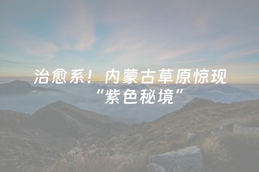 胜率设置方法“微信抢红包可以控制抢的金额吗”（详细透视教程）-哔哩哔哩