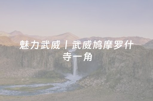 今日盘点“白金岛三打哈开挂方法”（详细透视教程）-哔哩哔哩
