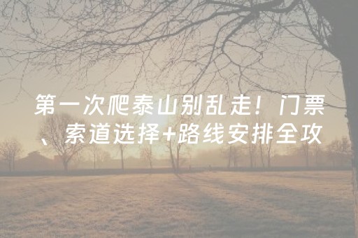 教程辅助“程序麻将机怎么安装视频教程”（详细透视教程）-哔哩哔哩