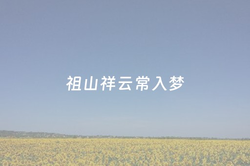玩家必备教程“手机跑得快辅助软件”（详细透视教程）-哔哩哔哩