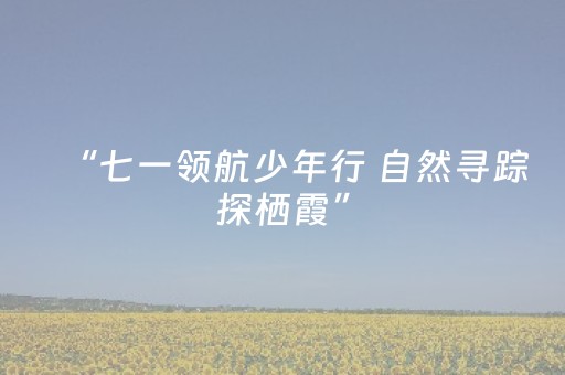 分享玩家攻略“微信小程序天津麻将赢牌技巧”（必赢神器)