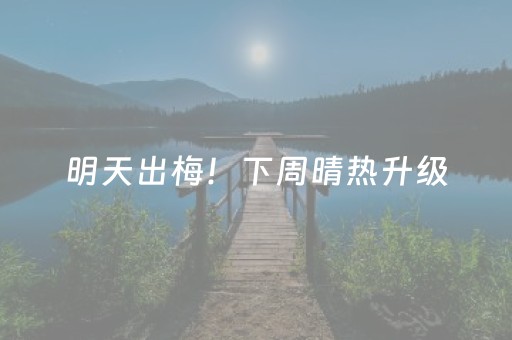 今日实测“麻友圈2辅助器免费下载”（详细辅助教程）-哔哩哔哩