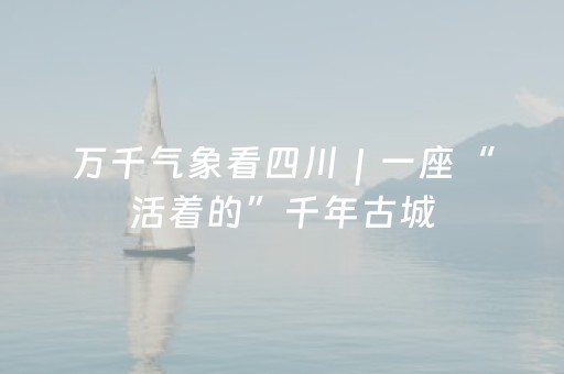 玩家必看教程！“微乐湖南麻将助赢神器购买”（详细透视教程）-哔哩哔哩