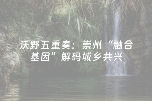玩家必看教程！“吉祥填大坑辅助器通用版”（详细透视教程）-哔哩哔哩