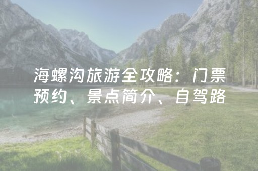 今日实测“微乐江西手机麻将助赢神器”（详细辅助教程）-哔哩哔哩