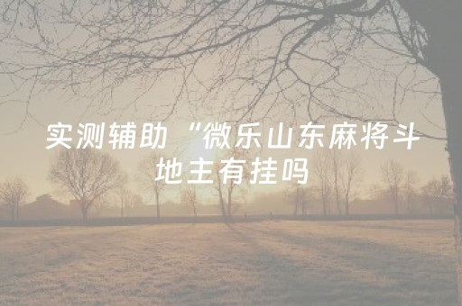 实测辅助“微乐山东麻将斗地主有挂吗（助赢神器通用版）