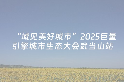 “域见美好城市”2025巨量引擎城市生态大会武当山站活动启幕