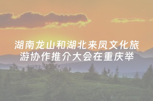 教程辅助“手机扑克透明神器”（详细透视教程）-哔哩哔哩
