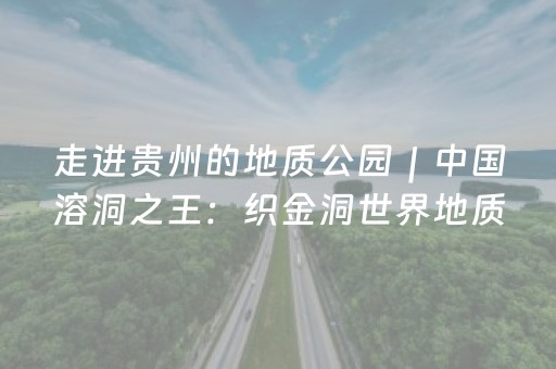 走进贵州的地质公园｜中国溶洞之王：织金洞世界地质公园