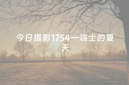 实测分析“天天麻将有挂吗”（详细开挂教程）-哔哩哔哩