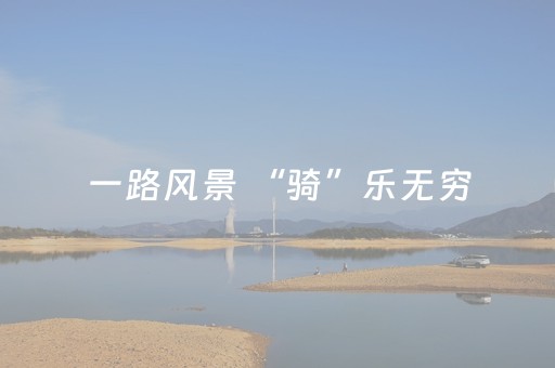 一路风景 “骑”乐无穷
