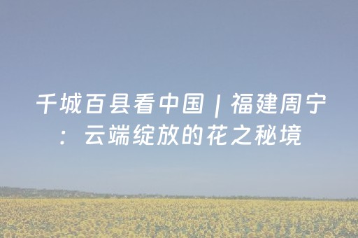 实测教程“棋牌室麻将机助赢神器（助赢神器通用版）