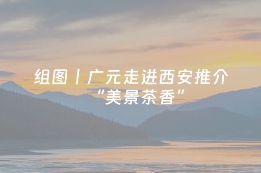 实测分享“小程序麻将控牌购买（助赢神器通用版）
