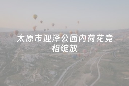 教程辅助“微乐麻将系统出牌规律（专用辅牌神器免安装）