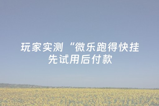 玩家实测“微乐跑得快挂先试用后付款（助赢神器通用版）