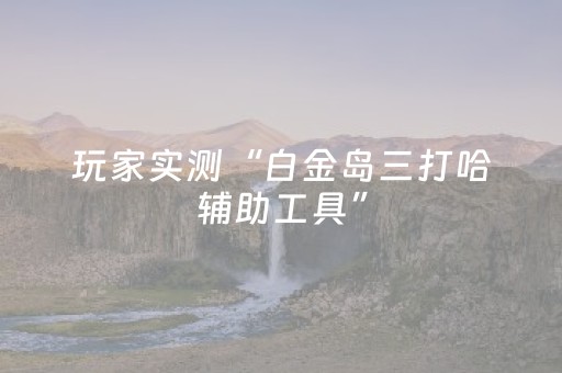 玩家实测“白金岛三打哈辅助工具”（详细透视教程）-哔哩哔哩