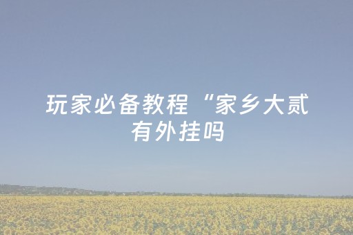 玩家必备教程“家乡大贰有外挂吗（助赢神器通用版）