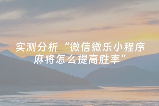 实测分析“微信微乐小程序麻将怎么提高胜率”（详细辅助教程）-哔哩哔哩