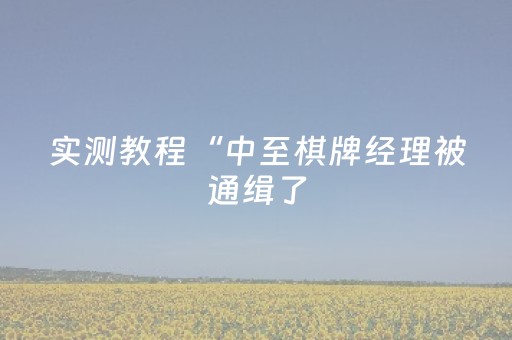 实测教程“中至棋牌经理被通缉了（专用辅牌神器免安装）