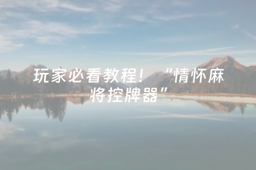 玩家必看教程！“情怀麻将控牌器”（详细辅助教程）-哔哩哔哩