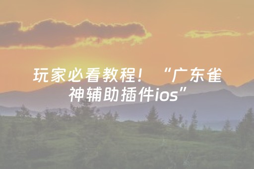 玩家必看教程！“广东雀神辅助插件ios”（详细辅助教程）-哔哩哔哩