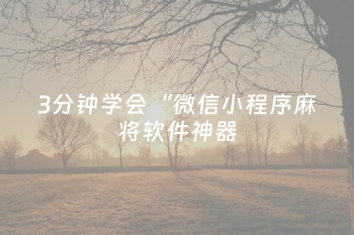 3分钟学会“微信小程序麻将软件神器（专用辅牌神器免安装）