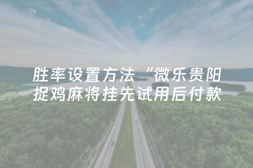 胜率设置方法“微乐贵阳捉鸡麻将挂先试用后付款（助赢神器通用版）