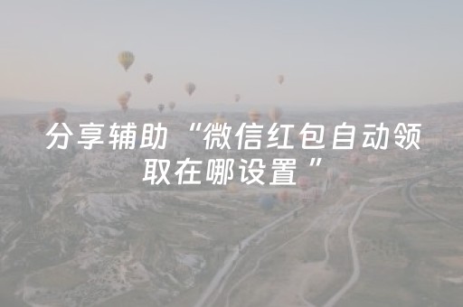 分享辅助“微信红包自动领取在哪设置 ”（详细透视教程）-哔哩哔哩