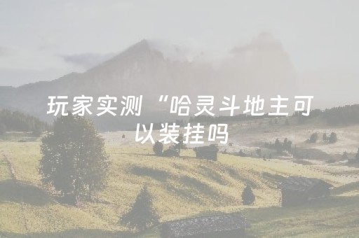 玩家实测“哈灵斗地主可以装挂吗（助赢神器通用版）