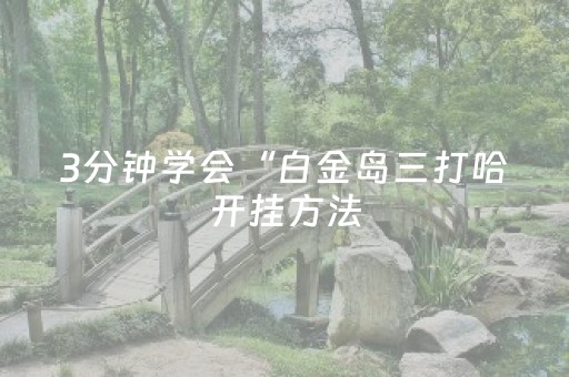 3分钟学会“白金岛三打哈开挂方法（专用辅牌神器免安装）
