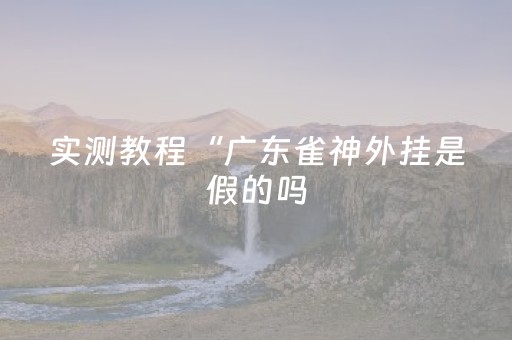 实测教程“广东雀神外挂是假的吗（专用辅牌神器免安装）