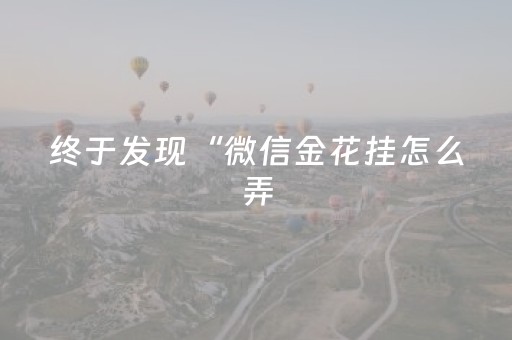 终于发现“微信金花挂怎么弄（专用辅牌神器免安装）