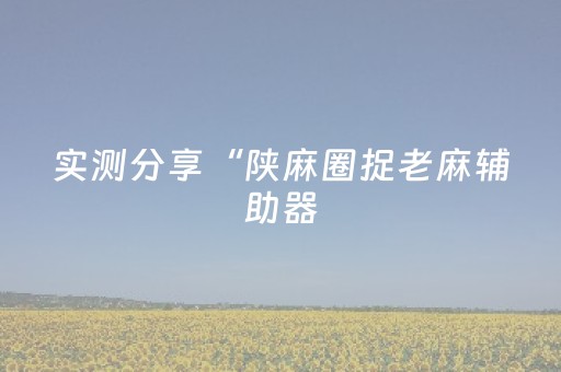 实测分享“陕麻圈捉老麻辅助器（专用辅牌神器免安装）