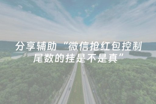 分享辅助“微信抢红包控制尾数的挂是不是真”（详细透视教程）-哔哩哔哩