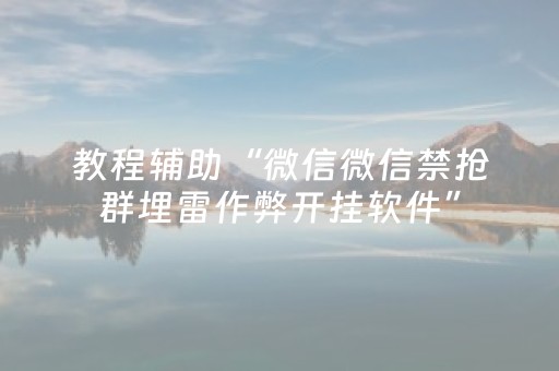 教程辅助“微信微信禁抢群埋雷作弊开挂软件”（详细透视教程）-哔哩哔哩
