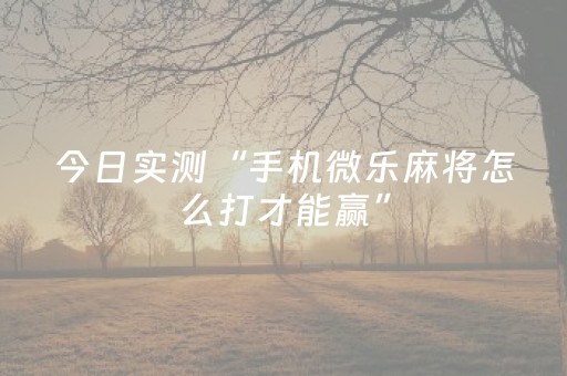 今日实测“手机微乐麻将怎么打才能赢”（详细透视教程）-哔哩哔哩