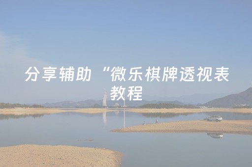 分享辅助“微乐棋牌透视表教程（助赢神器通用版）