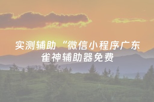 实测辅助“微信小程序广东雀神辅助器免费（专用辅牌神器免安装）