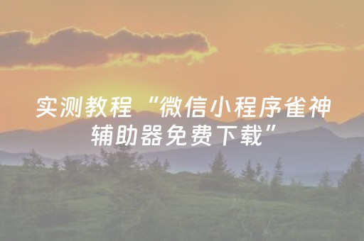 实测教程“微信小程序雀神辅助器免费下载”（详细透视教程）-哔哩哔哩