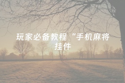 玩家必备教程“手机麻将挂件（专用辅牌神器免安装）