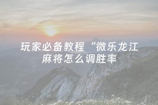 玩家必看攻略“飞针麻将机原理”（详细透视教程）-哔哩哔哩