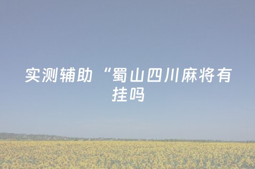 实测辅助“蜀山四川麻将有挂吗（助赢神器通用版）