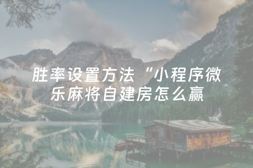 胜率设置方法“小程序微乐麻将自建房怎么赢（助赢神器通用版）