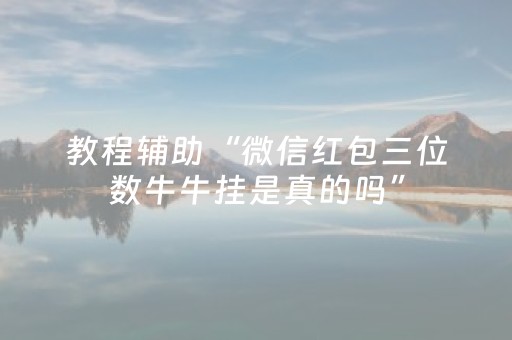 教程辅助“不用安装的麻将神器是真的吗（助赢神器通用版）