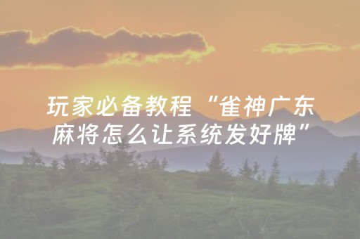 3分钟学会“中至小程序辅助器真的假的（专用辅牌神器免安装）