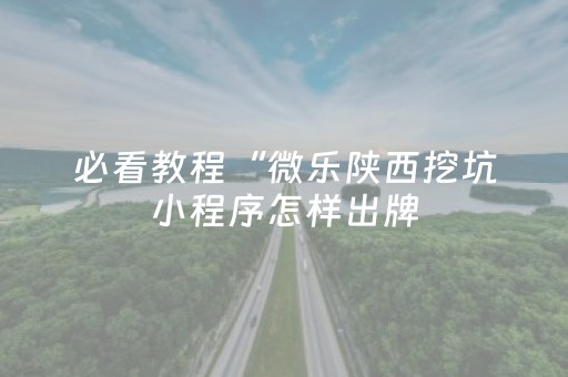 必看教程“微信拼三张辅助软件”（详细透视教程）-哔哩哔哩