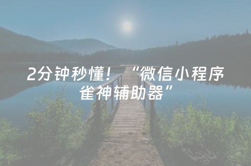 2分钟秒懂！“微信小程序雀神辅助器”（详细透视教程）-哔哩哔哩