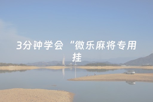 3分钟学会“微乐麻将专用挂（专用辅牌神器免安装）