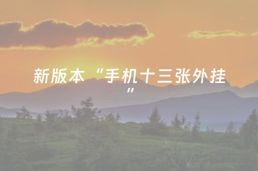 新版本“手机十三张外挂”（详细透视教程）-哔哩哔哩