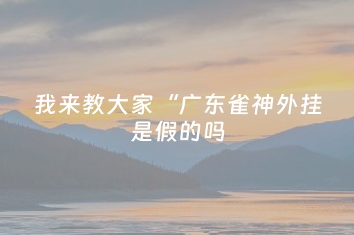 我来教大家“广东雀神外挂是假的吗（助赢神器通用版）